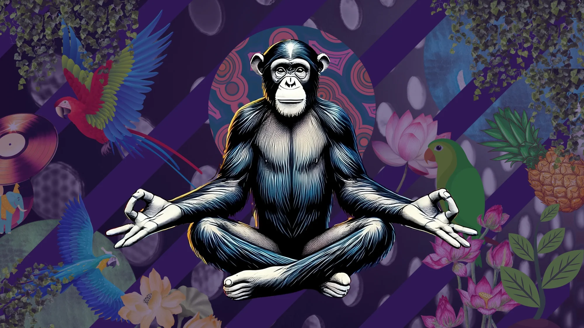 Chimpanzee meditating in lotus pose on a colourful tropical background – Electronic Yoga